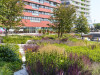 Примеры создания дождевых садов и водопроницаемых покрытий в Нидерландах
