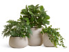 Кашпо Treez Effectory Beton