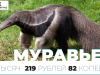 У кого в калининградском зоопарке самое дорогое меню. Инфографика