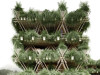 Бамбуковый город: в Китае построят экологичное поселение на 20 тыс. жителей. Часть 1