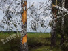 Фото:gubernator46 / Telegram