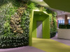 Фикусы и кактусы: как озеленяют современные офисы. Часть 4