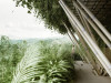 Бамбуковый город: в Китае построят экологичное поселение на 20 тыс. жителей. Часть 1
