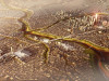 Новая столица Египта: как будет выглядеть мегаполис в пустыне. Часть 1
