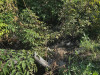 Фото: Ecoche / Telegram