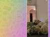 Как сделать GIF в Telegram: пошаговая инструкция