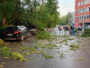 Фото: МСК (Москва и Подмосковье) / VK