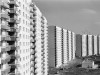 Строительство 16-этажных жилых домов серии П 3/16 ведет ДСК №&nbsp;3 в микрорайоне Ясенево. 1979 год