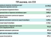 Фото:Инфографика РБК Екатеринбург