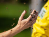 Фото: Carlos Osorio / Keystone Press Agency / Global Look Press