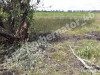 Фото:gubernator46 / Telegram