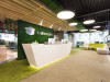 Фикусы и кактусы: как озеленяют современные офисы. Часть 2