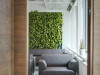 Фикусы и кактусы: как озеленяют современные офисы. Часть 5