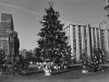 Новогодняя елка на площади 50-летия Октября. 1977 год