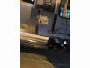 Фото: aviatorshina / Telegram