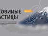 Интерфейс сервиса &laquo;Яндекса&raquo;, который предсказывает распространения вулканического пепла