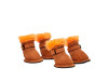 Коллаборация UGG X Very Important Puppies