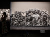 Фотовыставке Себастьяна Сальгадо&nbsp;&laquo;Амазония&raquo; в Лос-Анджелесе, США, 2022 год