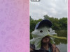 Как сделать GIF в Telegram: пошаговая инструкция