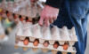 ФАС предложила сетям ограничить наценки на яйца до 5%