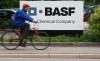 Российский завод BASF перешел под контроль «Лакра Синтез»