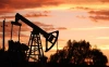 Акции «Сургутнефтегаза» обвалились на 12% после объявления дивидендов