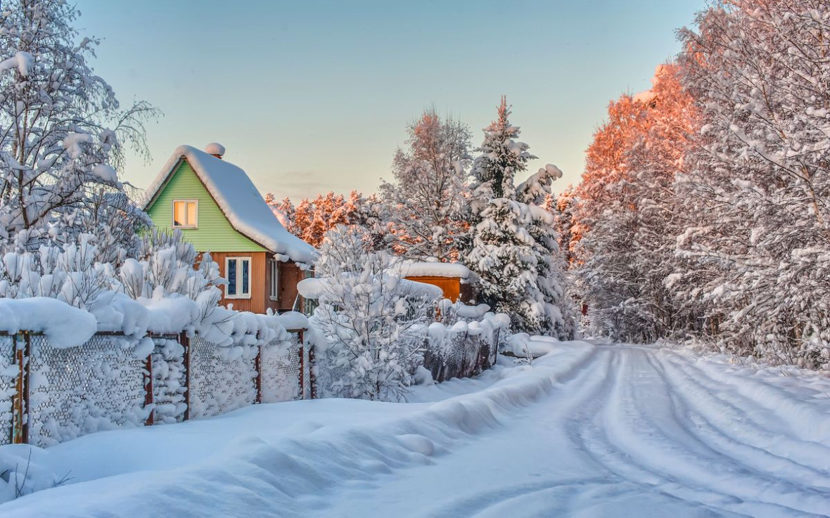 Фото:Anna Krivitskaya/shutterstock