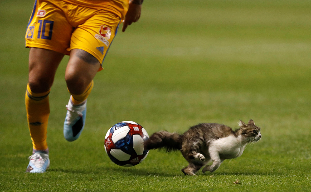 Фото: Jeff Swinger / Reuters