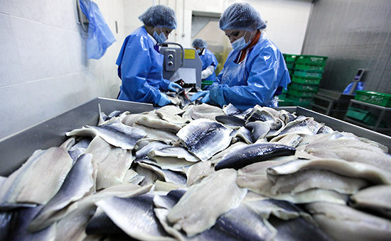 Работа завода «Русское море» в Ногинске