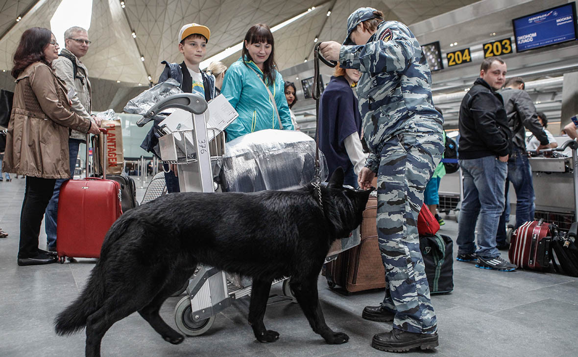 Фото: Сергей Коньков / ТАСС