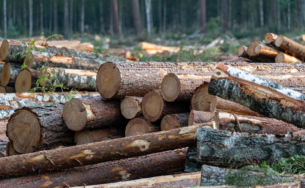 Фото: Shutterstock