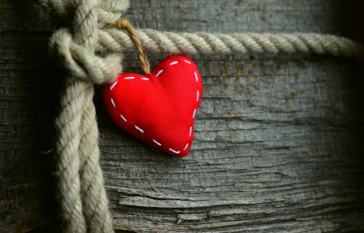 Фото:Pixabay