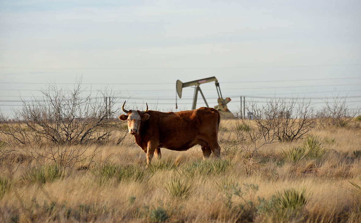 WSJ узнала об обсуждении в США санкций против России из-за цен на нефть