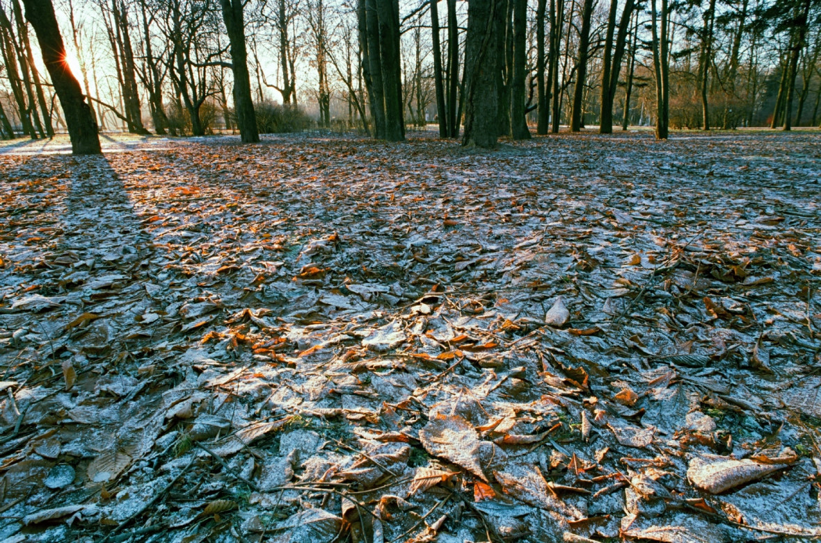 Фото:Интерпресс / PhotoXPress.ru