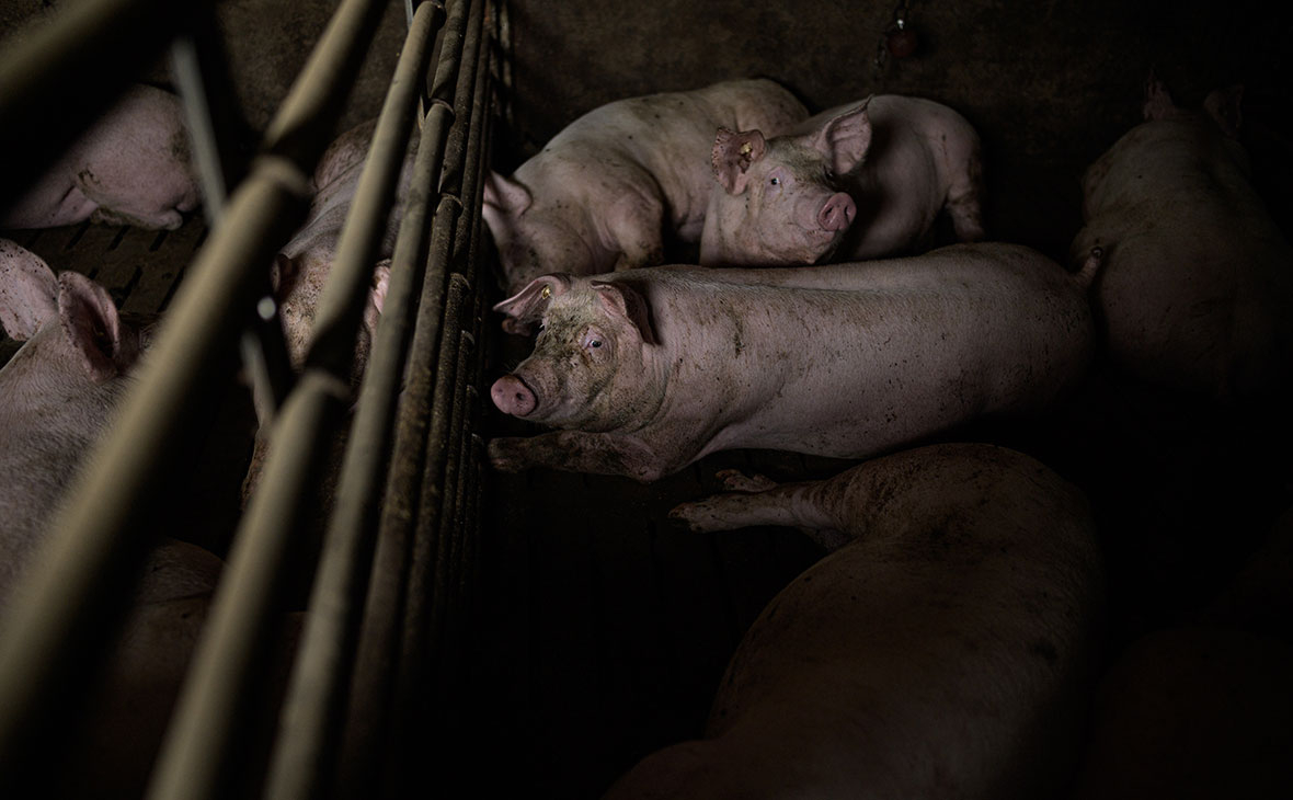 Фото: Lukas Schulze / Getty Images