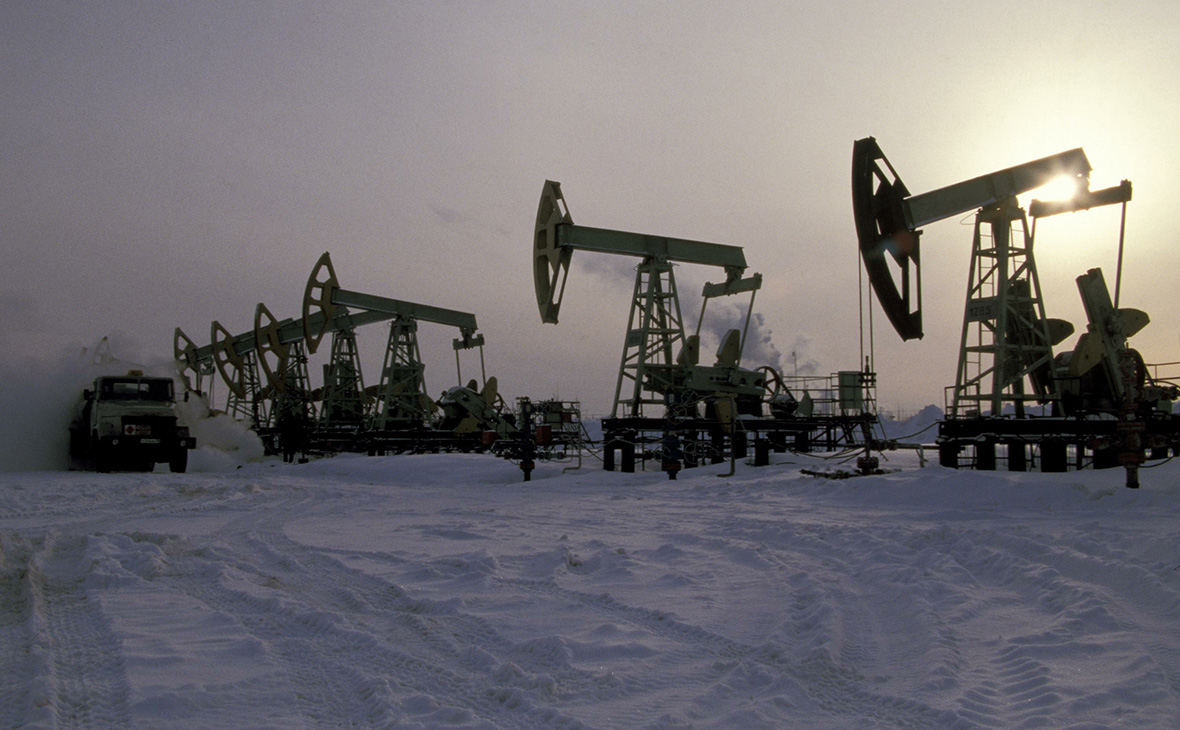 Фото:Николай Гынгазов / Global Look Press