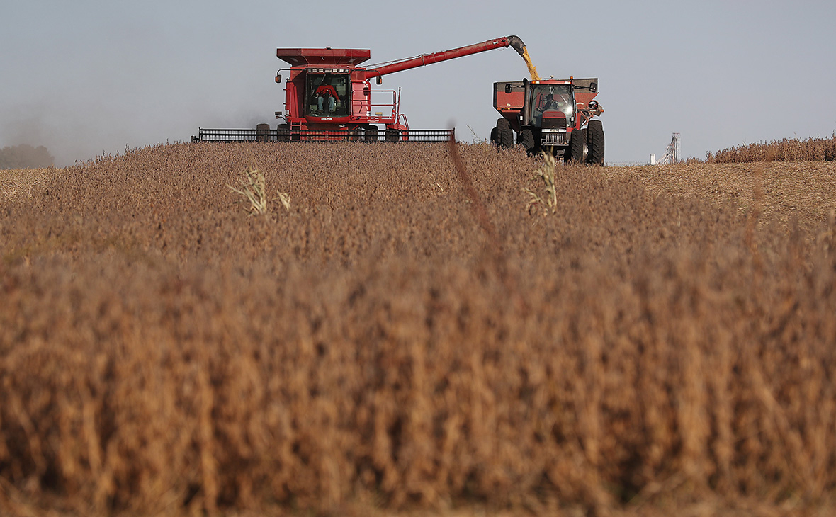 Фото: Joe Raedle / Getty Images