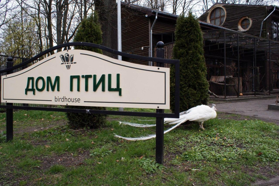 Фото: Виктор Буздин