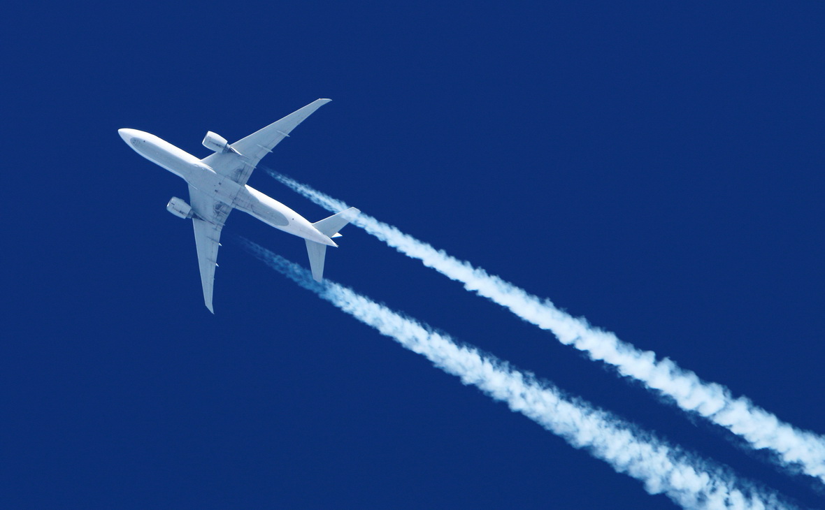 Фото: Fasttailwind / Shutterstock