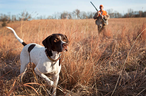 Фото: istockimg.com