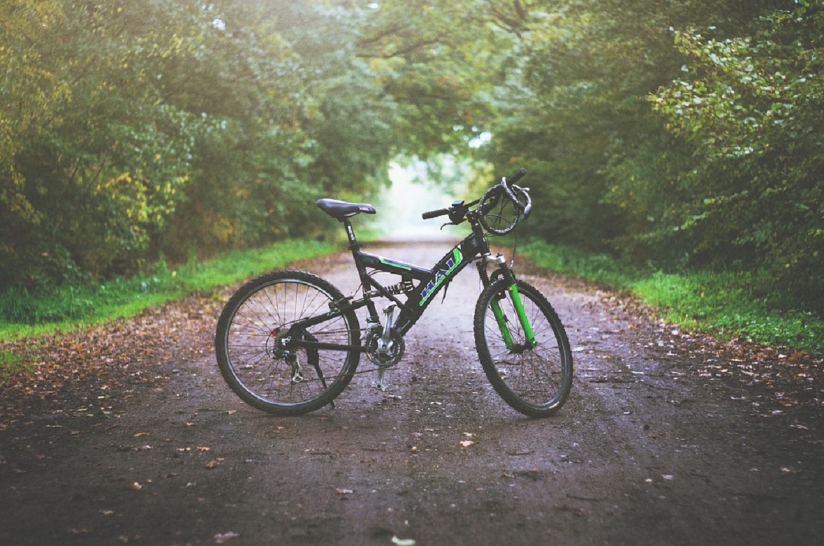 Фото:pixabay.com