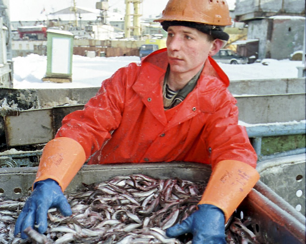 Мурманский рыбный порт