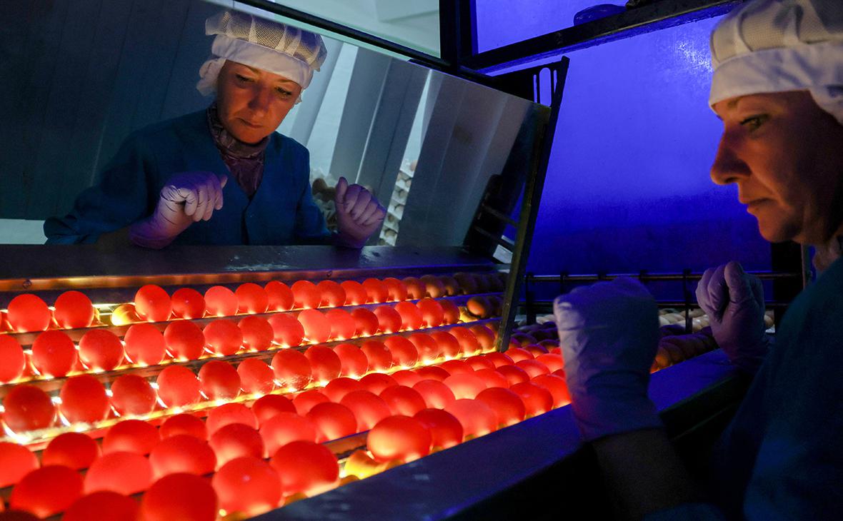 Фото: Кирилл Кухмарь / ТАСС