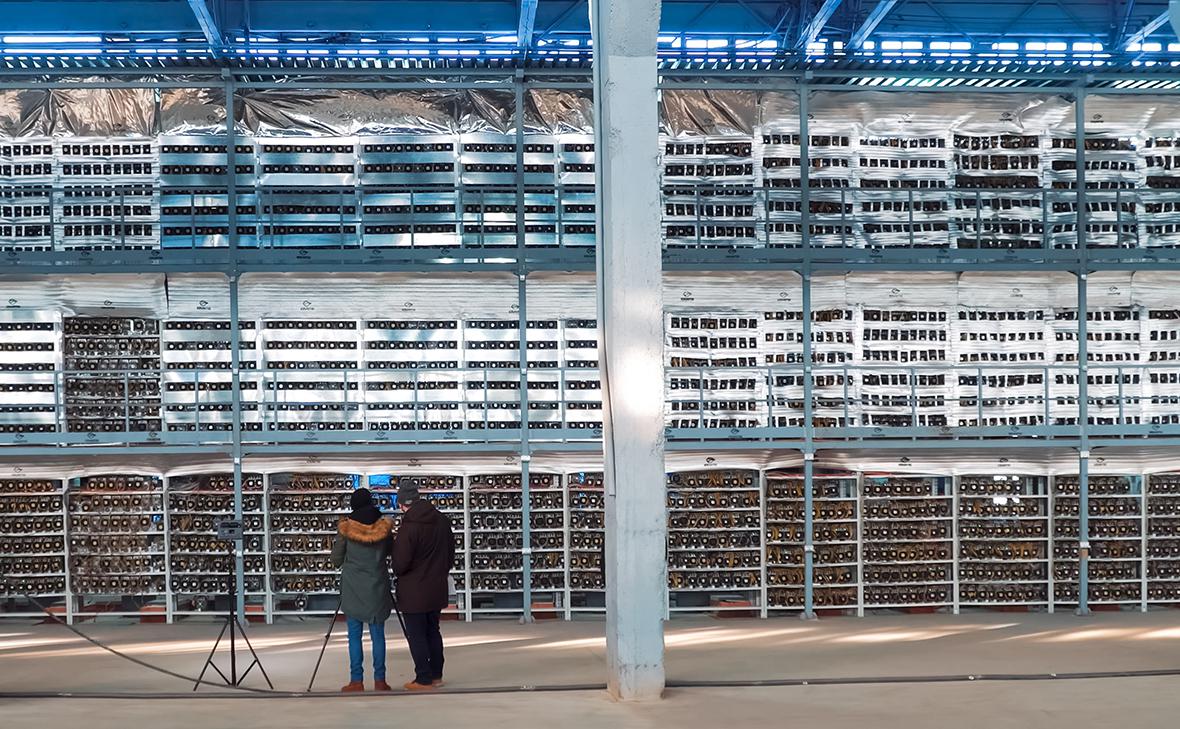 Фото: hlopex / Shutterstock