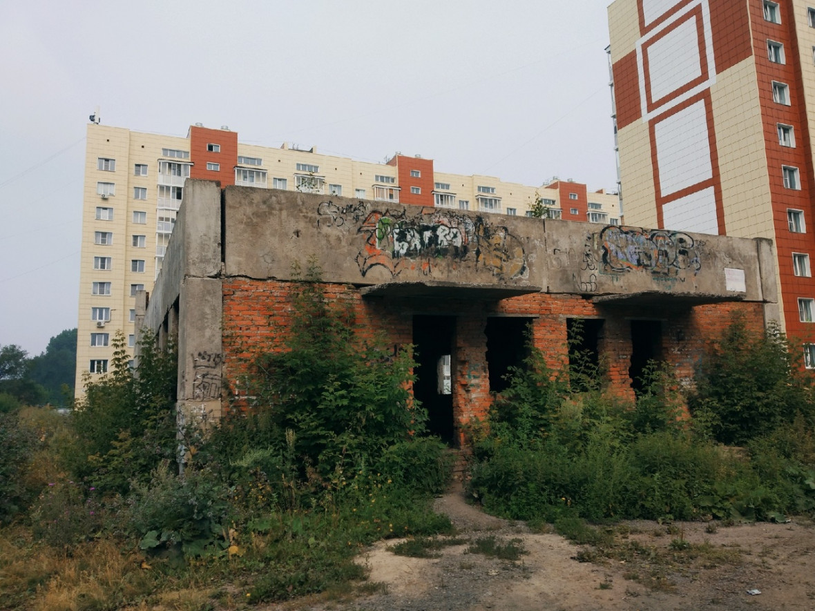 Фото: РБК Новосибирск  
