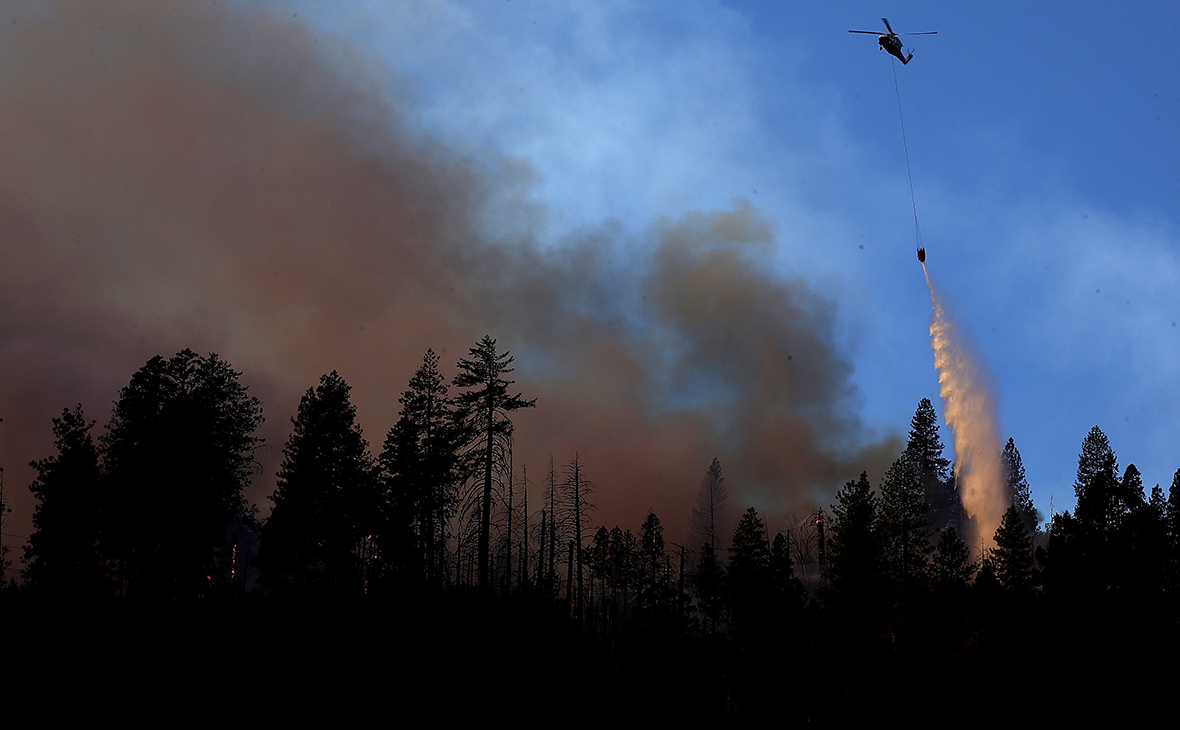 Фото: Justin Sullivan / Getty Images