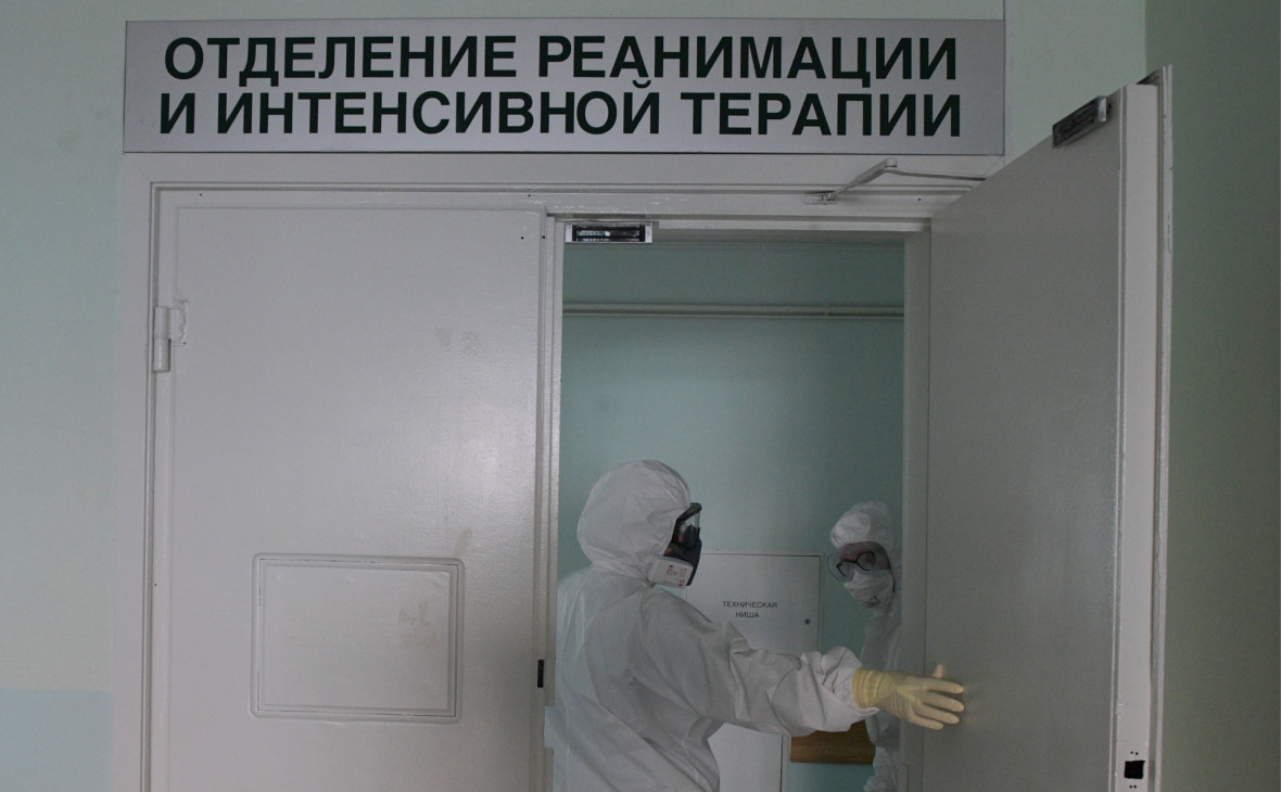 Фото:Александр Гальперин / РИА Новости
