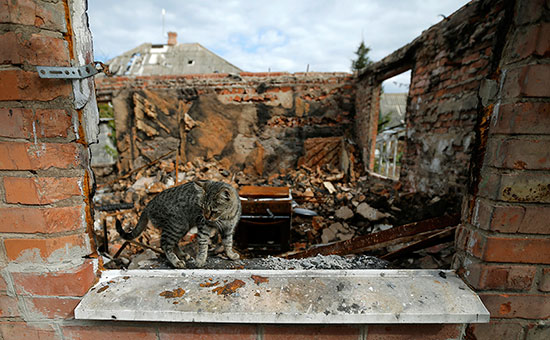 Фото: REUTERS 2014