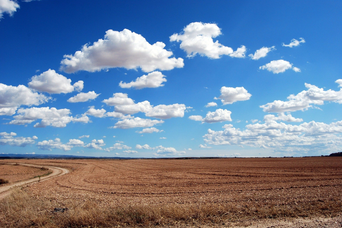 Фото:Pixabay