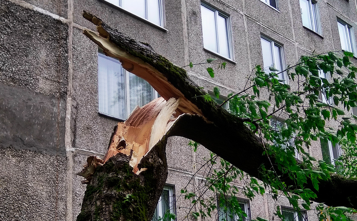 Фото: Сергей Киселев / АГН «Москва»